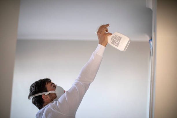 Best Residential Mold Remediation in Millwood, WA